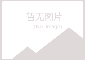 桦甸夏青能源有限公司